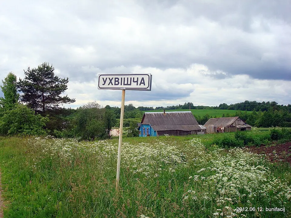 Vuchvišča