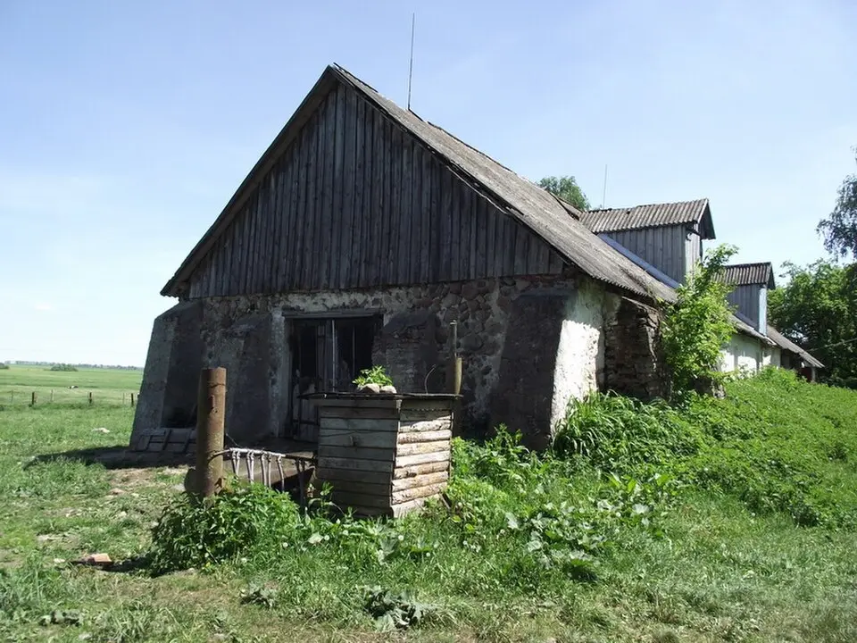 Кустын
