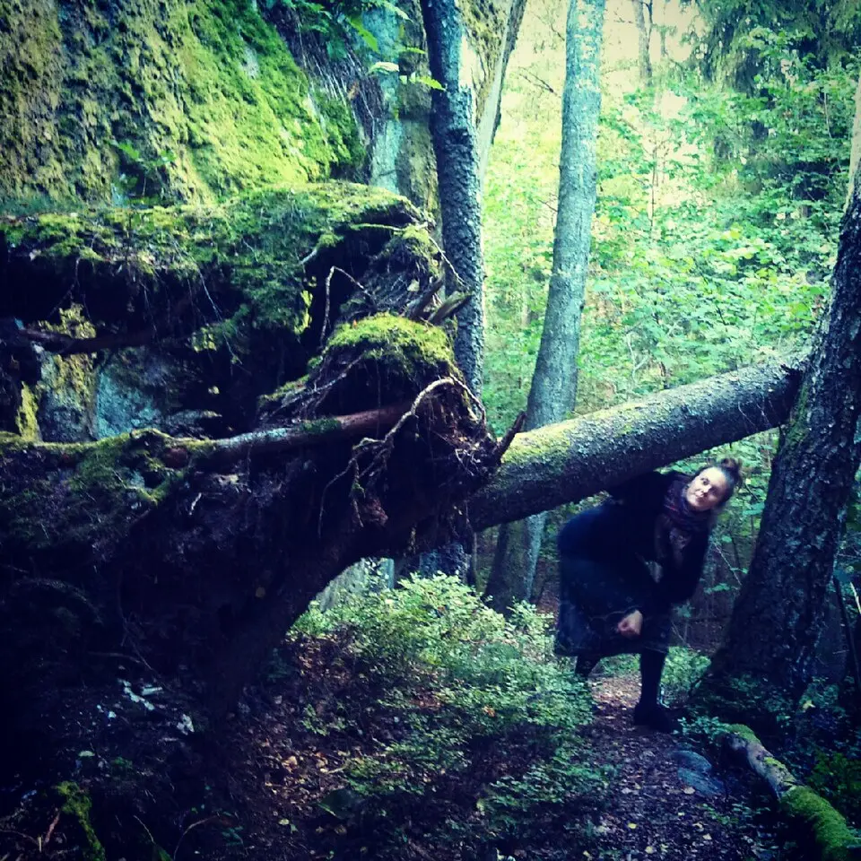 Grottbergets naturreservat