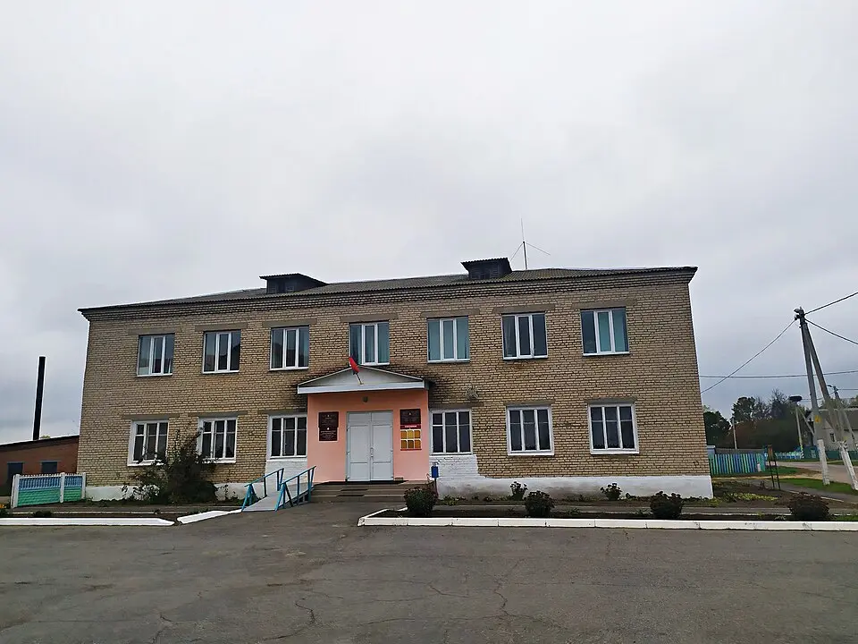 Selsawet Čamiarysy