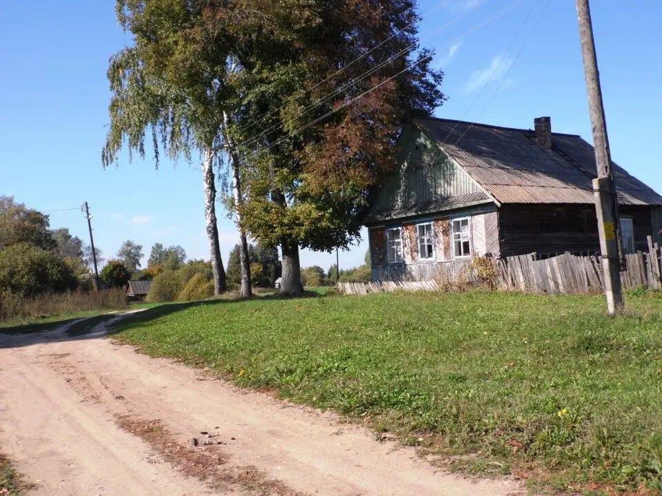 Šejki