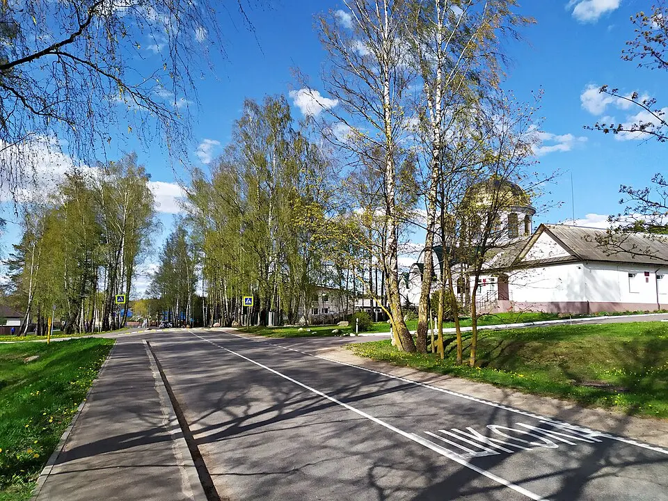 Шаршуны