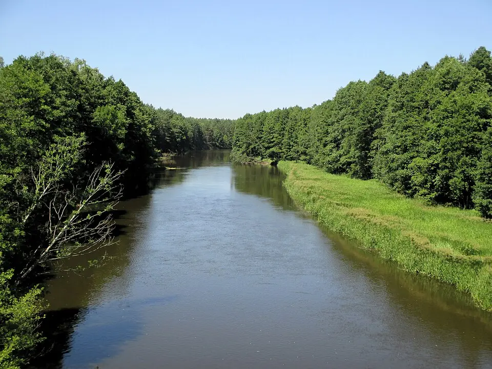 Ščara
