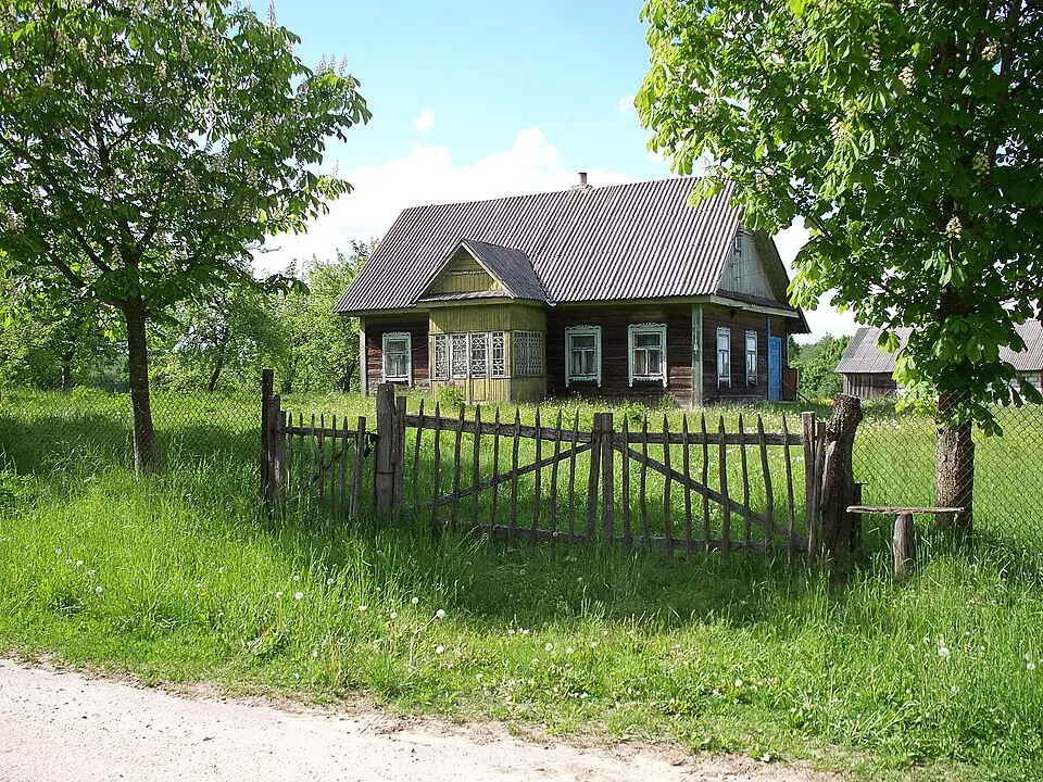 Ščapanavičy