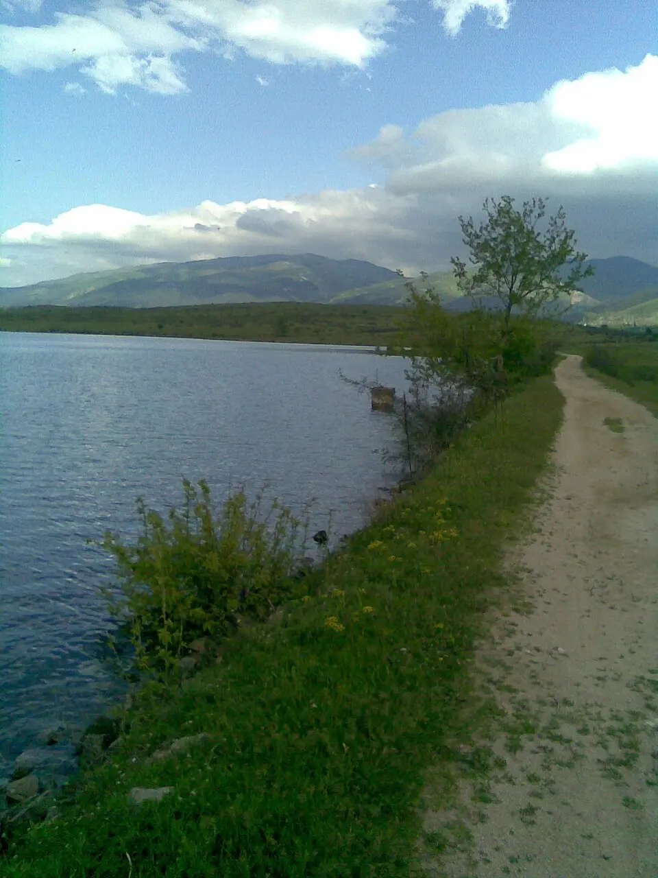 Slika: Glorymanun · Public domain Оризари