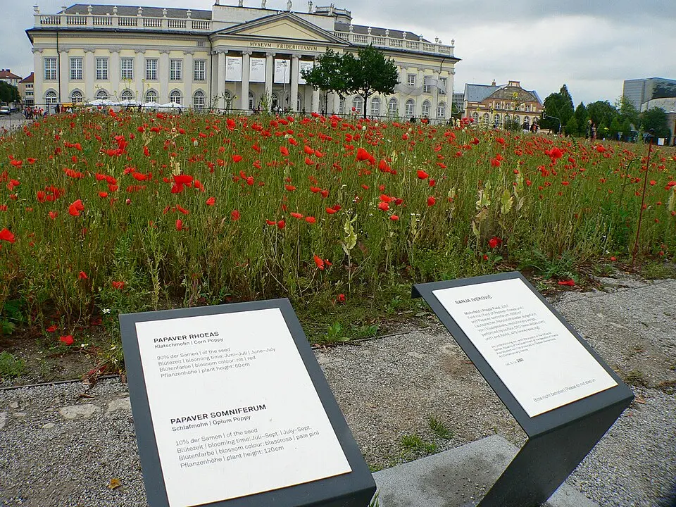 documenta 12