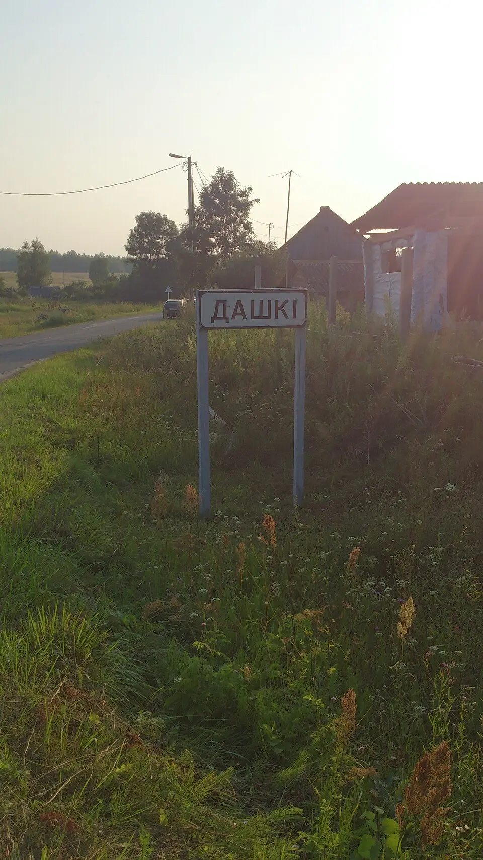 Дашкі