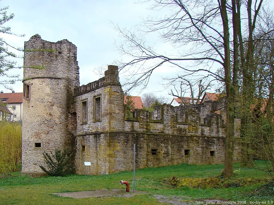 Bild: Schmelzle (peter schmelzle) · CC BY-SA 3.0 Burg und Schloss Daisbach