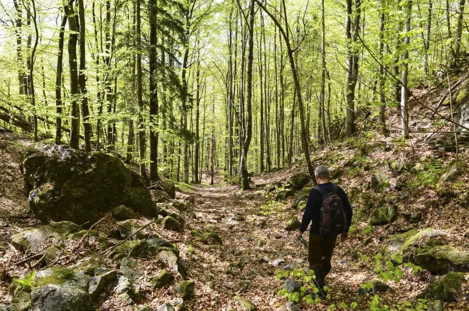 Dalaåsen naturreservat