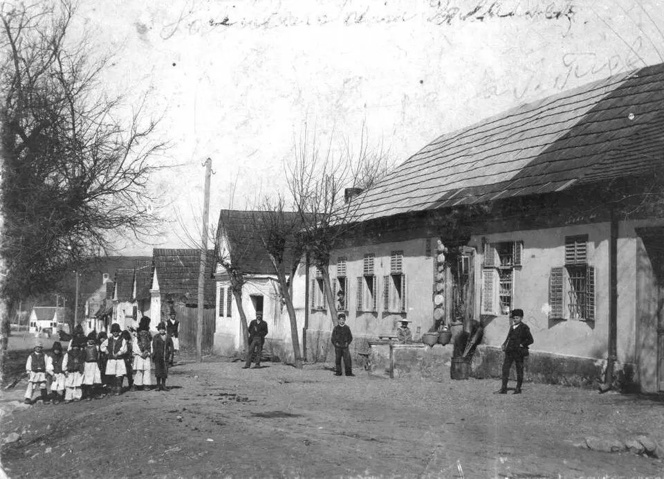 Dalboșeț
