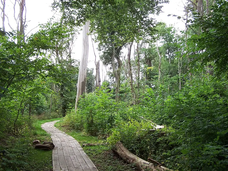 Národní park Dalby Söderskog