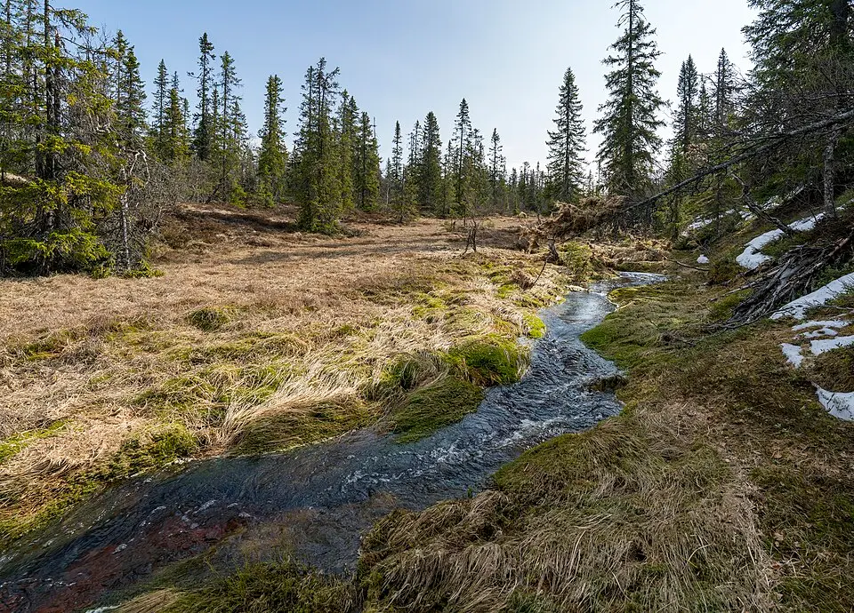 Dalkarlskölens naturreservat