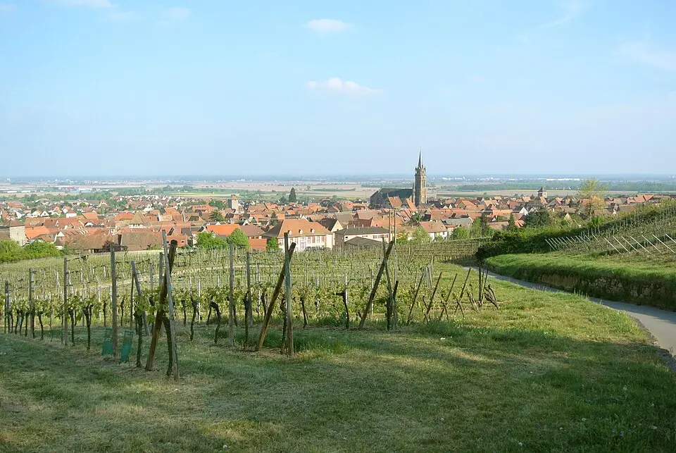 Image: Adbar · CC BY-SA 4.0 Dambach-la-Ville