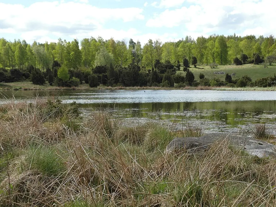 Måryd