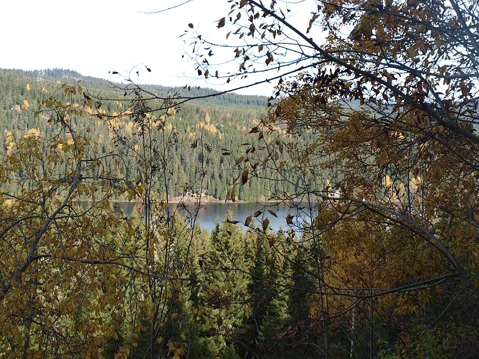 Damtjern