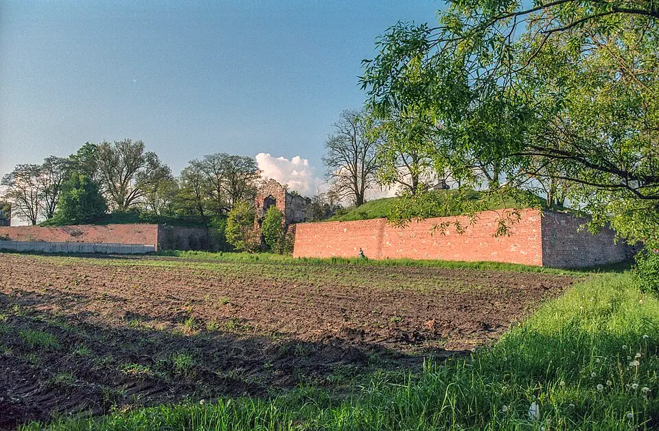 Zamek w Dankowie