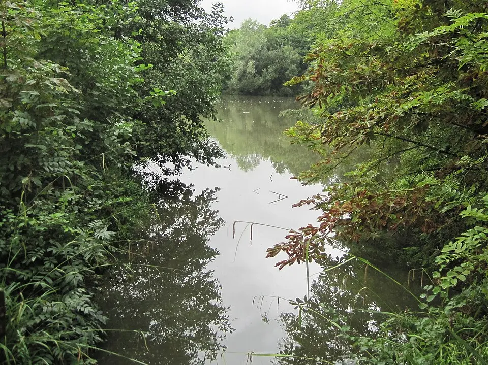 Darland's Lake