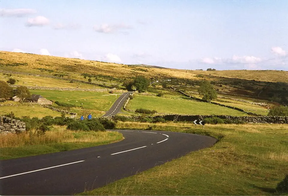 Dartmoor Forest