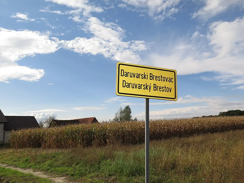 Daruvarski Brestovac