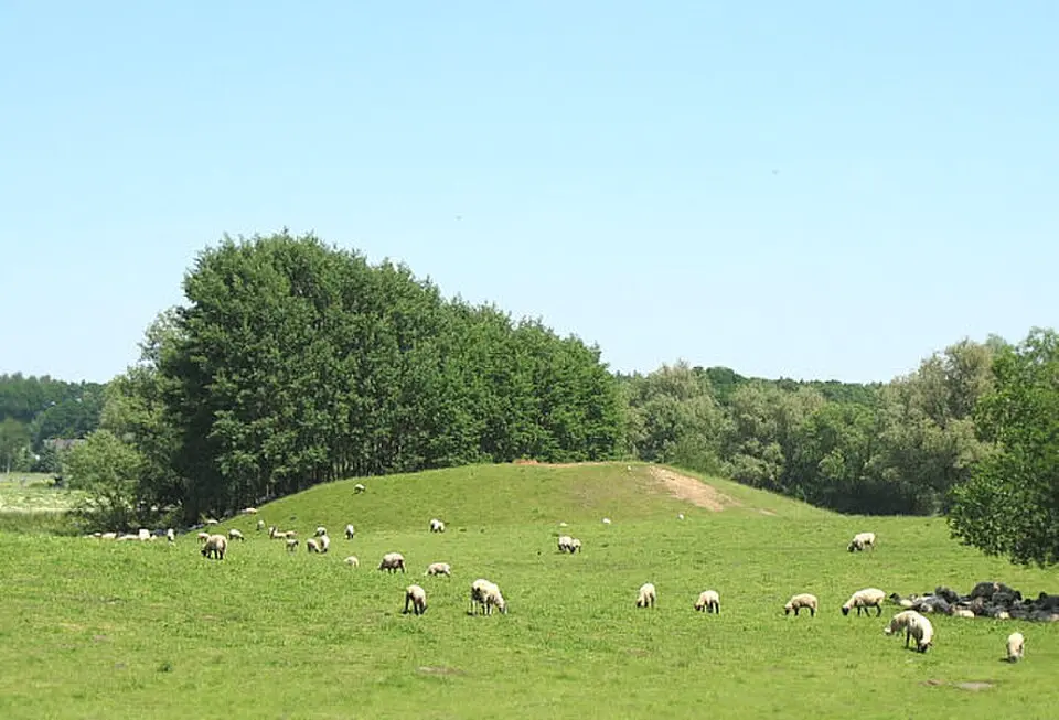 Turmhügel Darze
