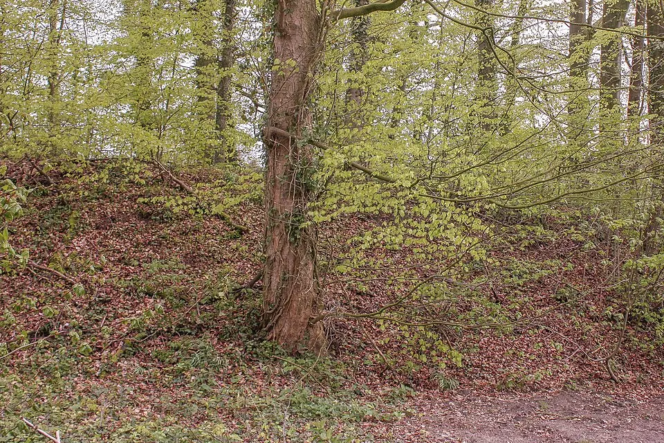 Alte Burg Holte