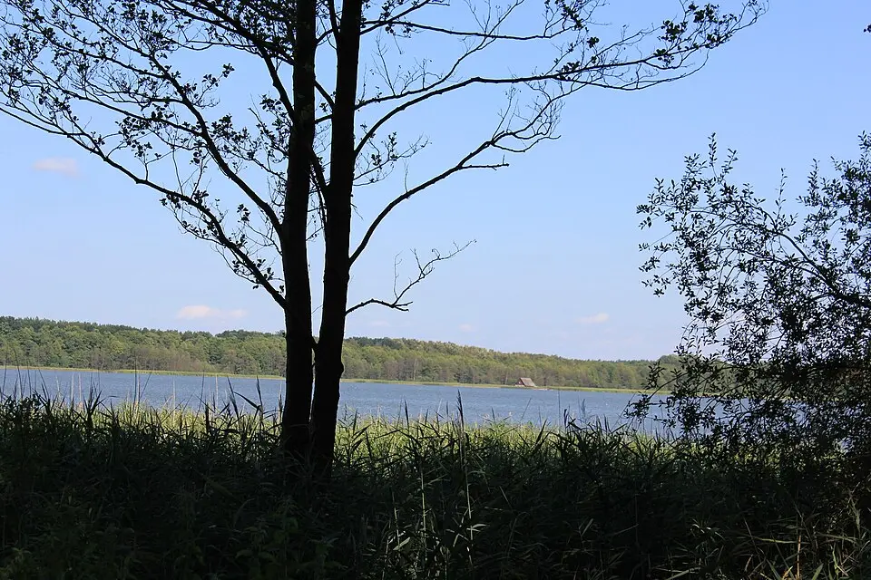 Slika: (User:Alma) · CC BY-SA 3.0 Damerower See