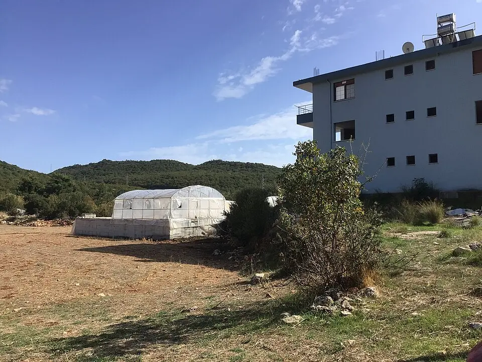 Davazlar