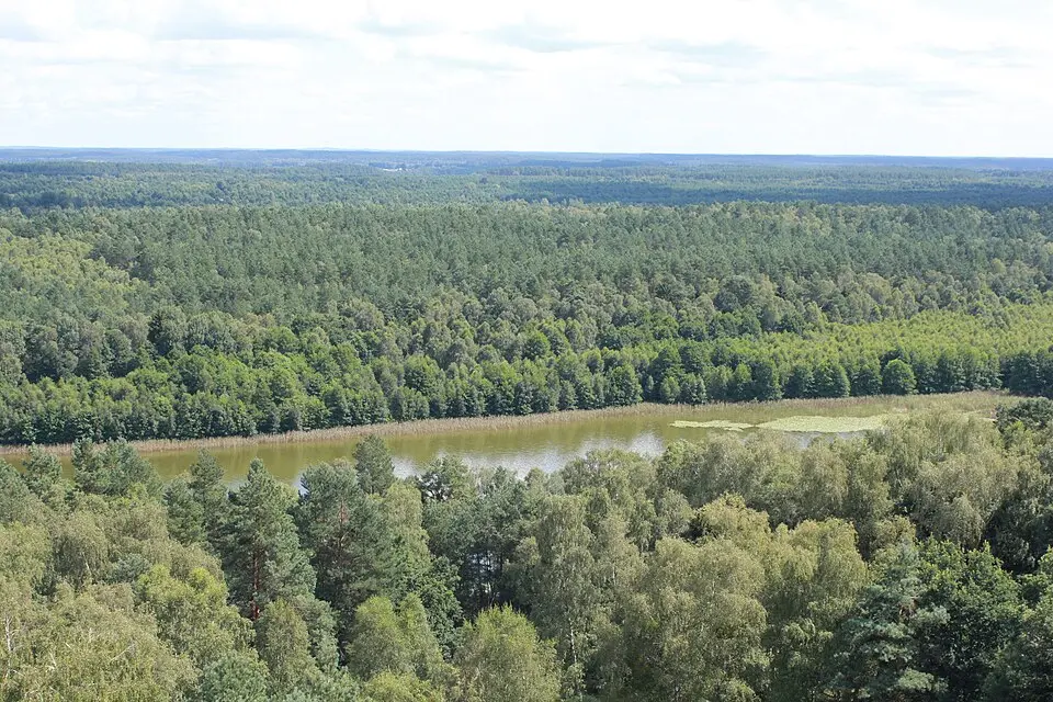 Großer Zillmannsee