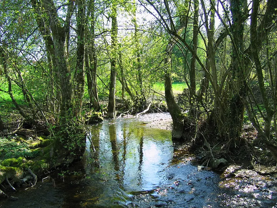 Nonnenbach