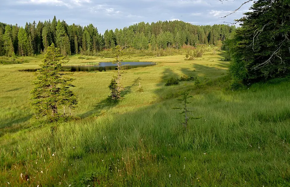 Dürrenecksee