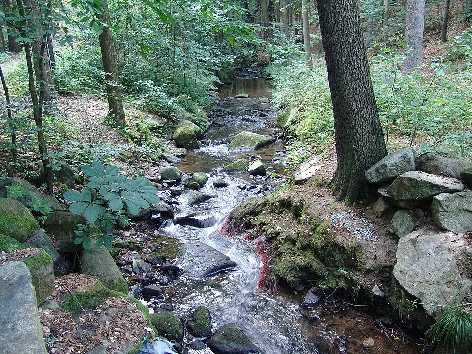 Obrázek: Mike Krüger · CC BY 2.5 Großschweidnitzer Wasser