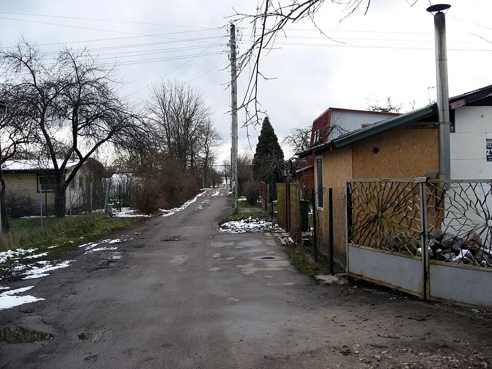 Dārziņi