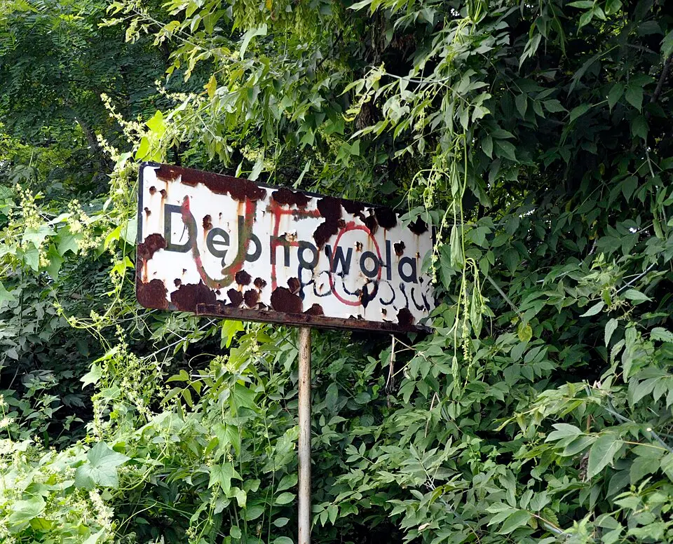 Dębnowola