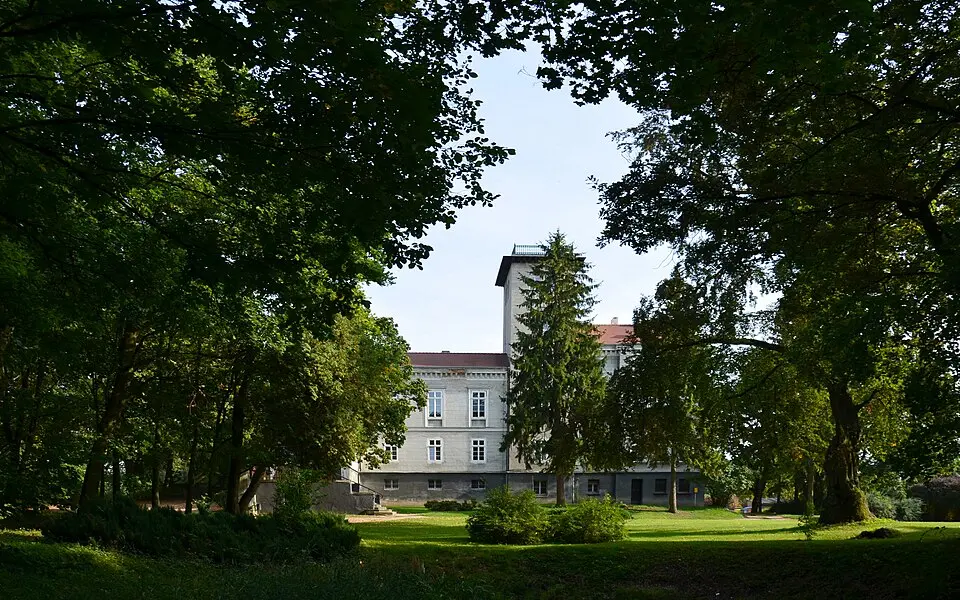 Zespół pałacowy