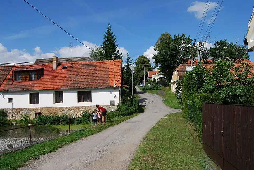 Dědovice