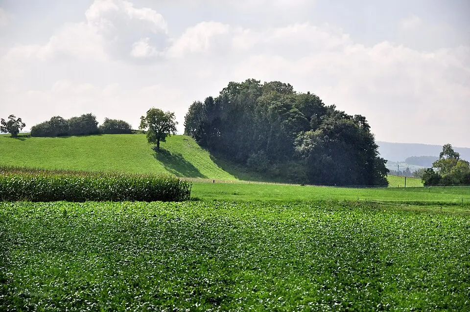 Image: Roland zh · CC BY-SA 3.0 De Chreebuck, frühmittelalterliche Siedlung & Gräberfeld