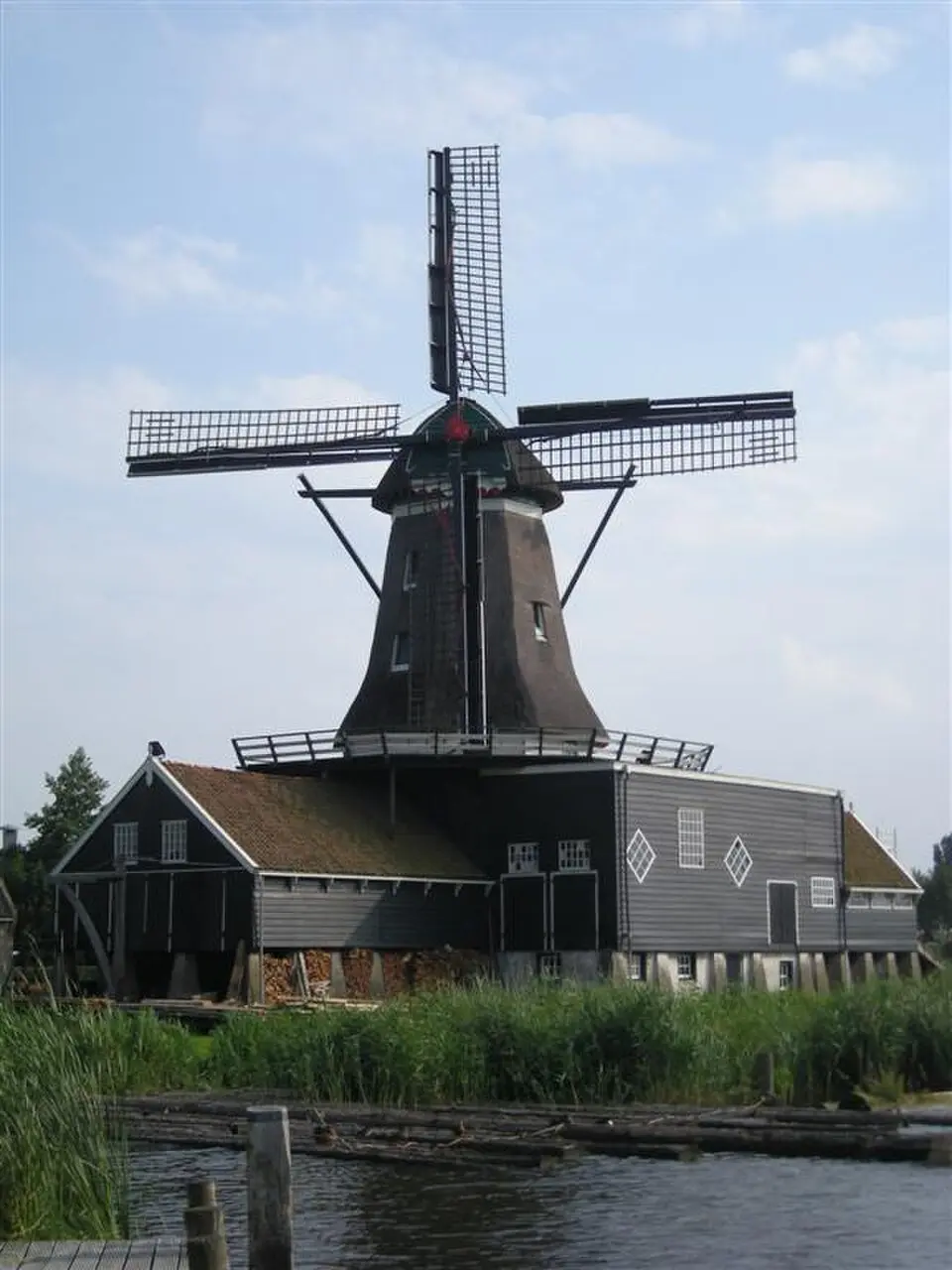 De Rat