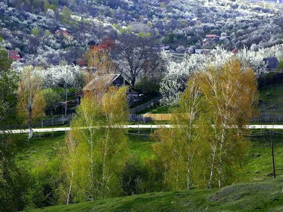 Pietroșița