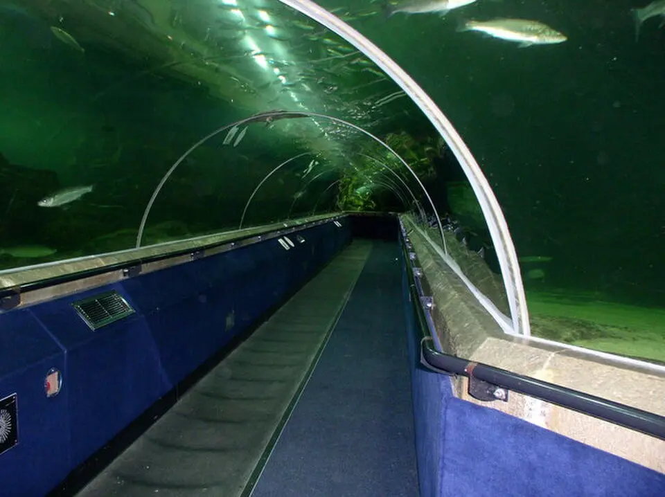Deep Sea World