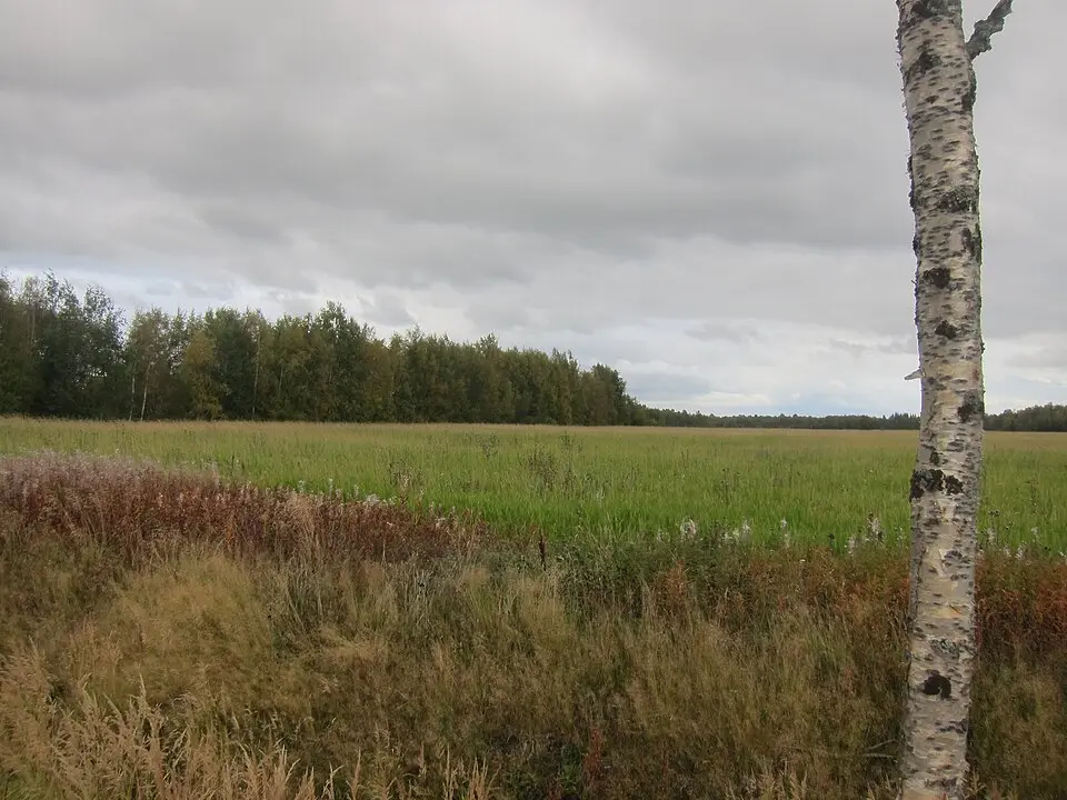 Södra Degernässlätten - Sundet