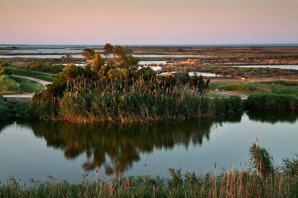 Naturpark Ebrodelta
