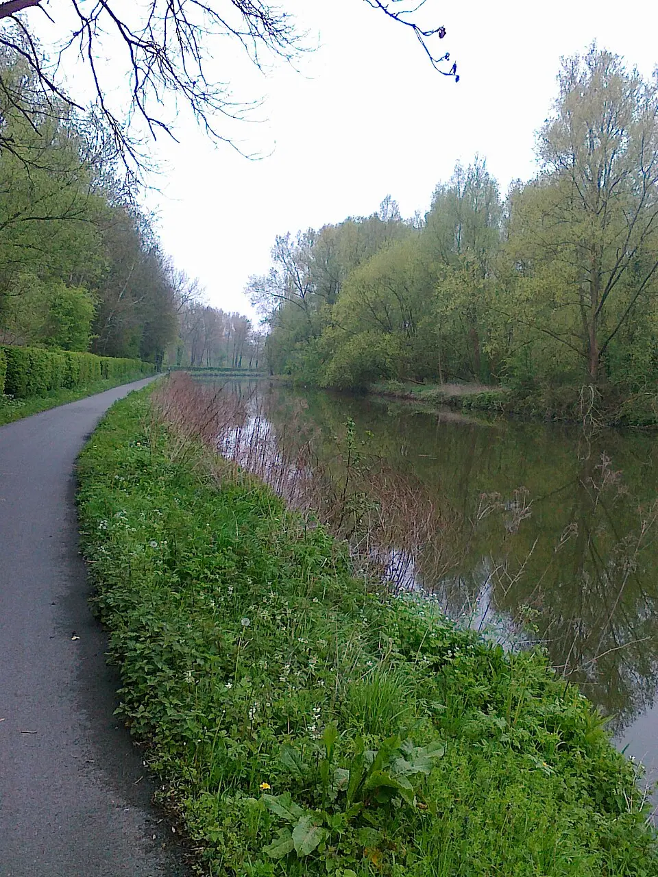 Erembodegem