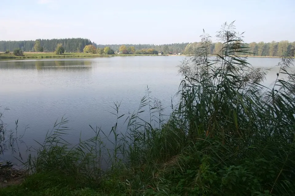 Image: User:mef.ellingen · CC BY-SA 3.0 DE Dennenloher See