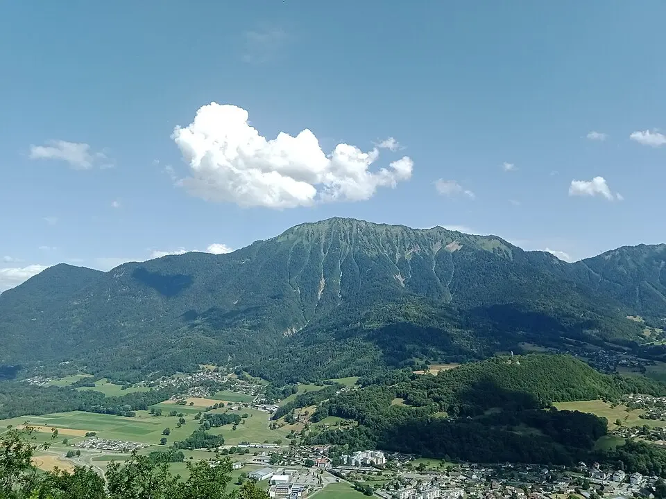 dent de Cons