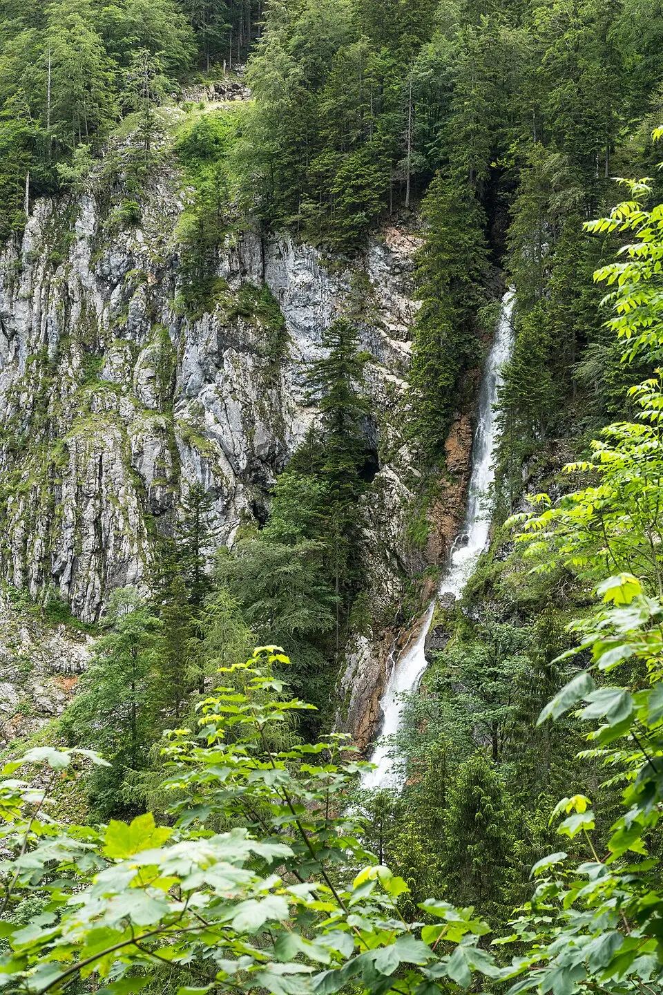 Ludwigfall
