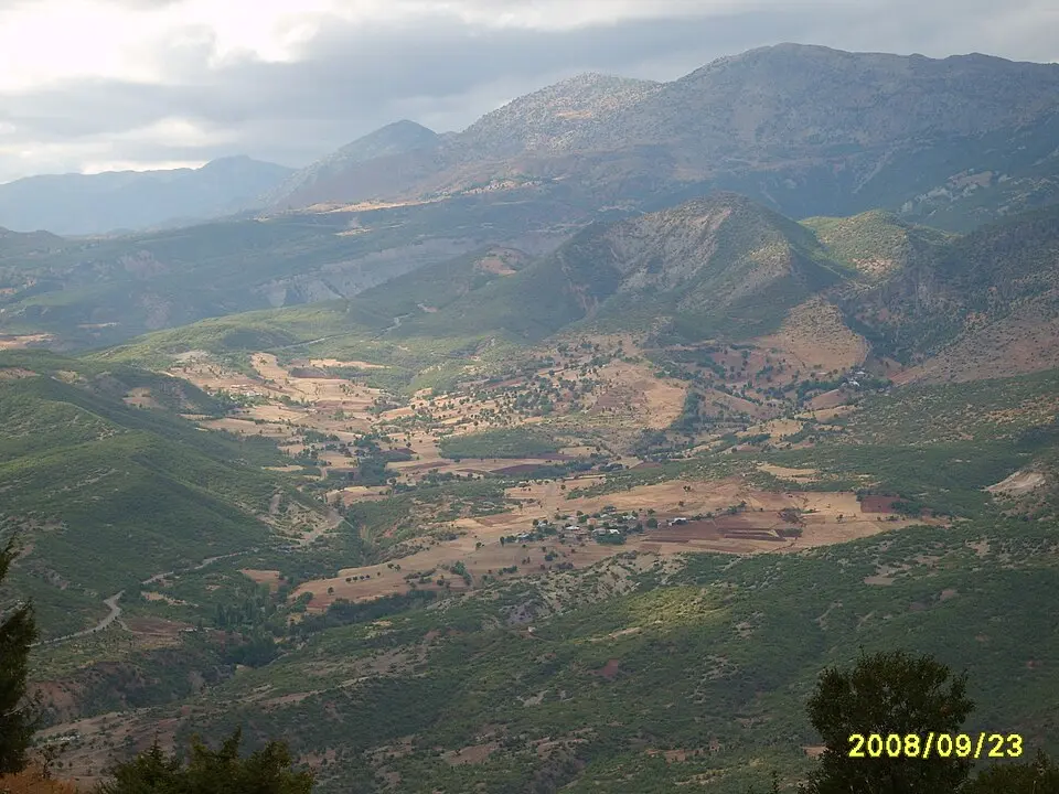 Güleç