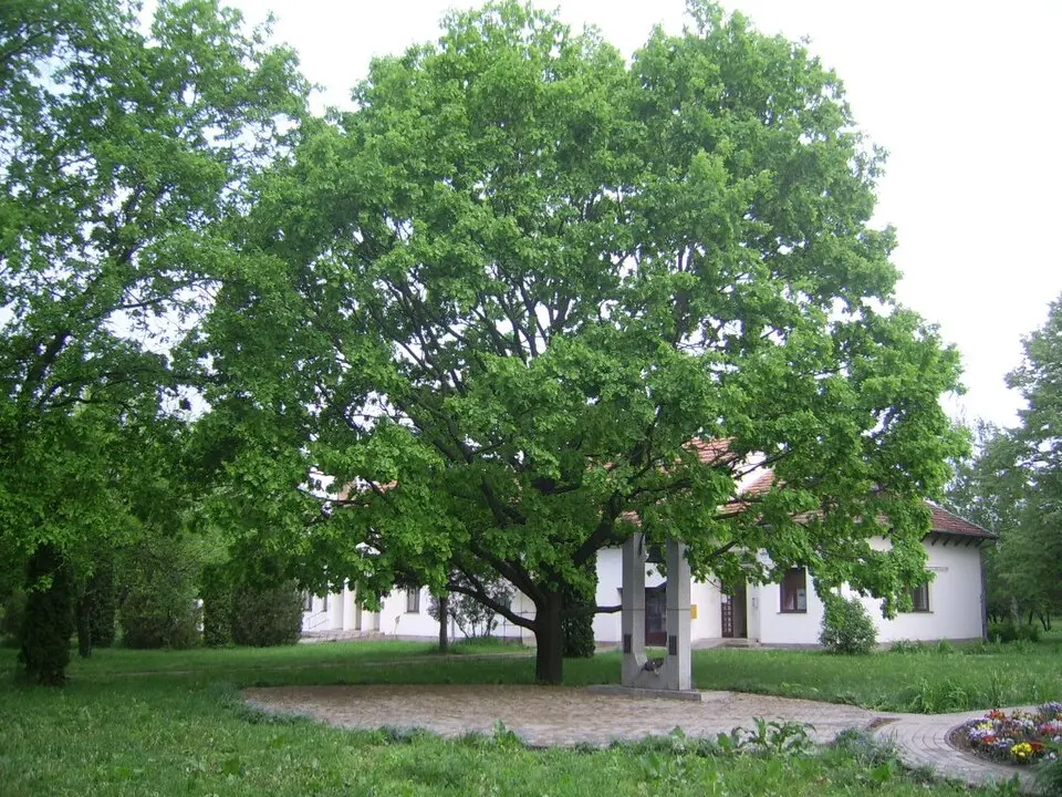 Derekegyház