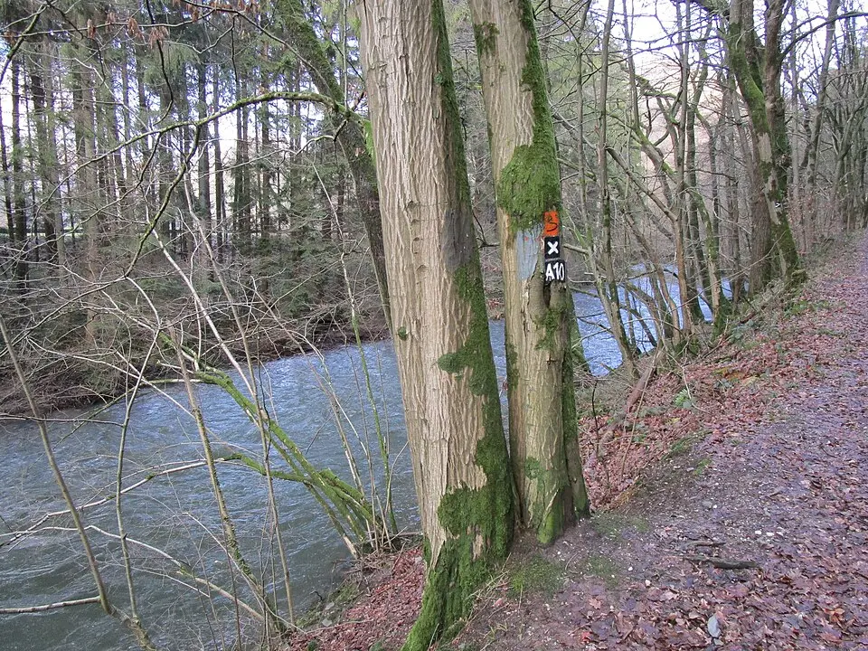 Derenbach