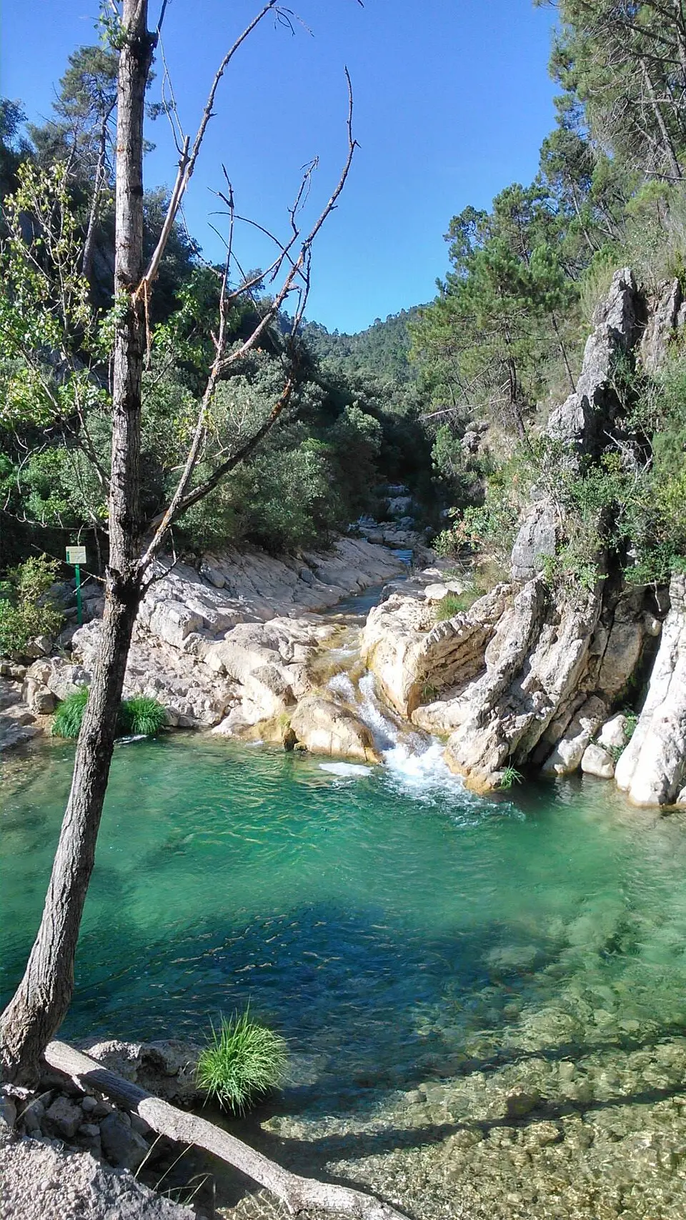 Río Borosa