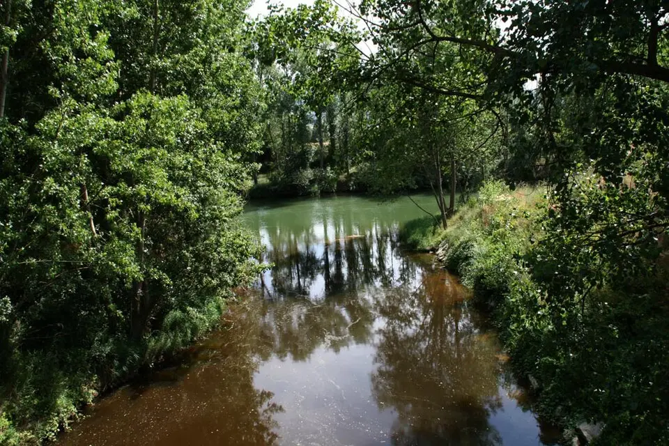 río Bayas
